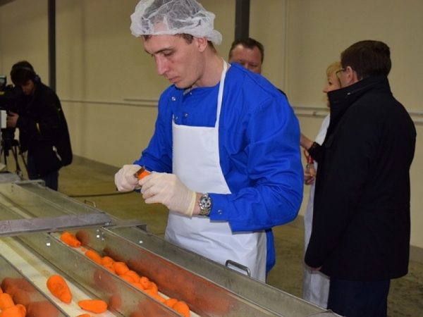 Предприятие в Орехово Зуевском районе будет производить цукаты из репы, моркови и вишни