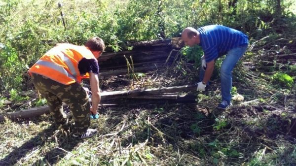 Мусор и аварийные деревья убрали в Коломенском районе благодаря Госадмтехнадзору