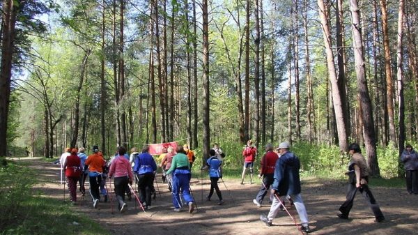Более 300 человек примут участие в мастер-классе по скандинавской ходьбе в Одинцове в субботу