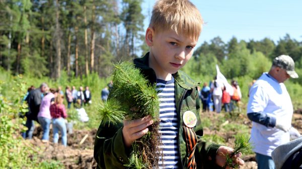 Порядка 100 тысяч человек приняли участие в акции «Лес Победы» в Подмосковье