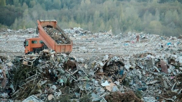 Почти 10 миллионов тонн отходов размещают в Подмосковье ежегодно
