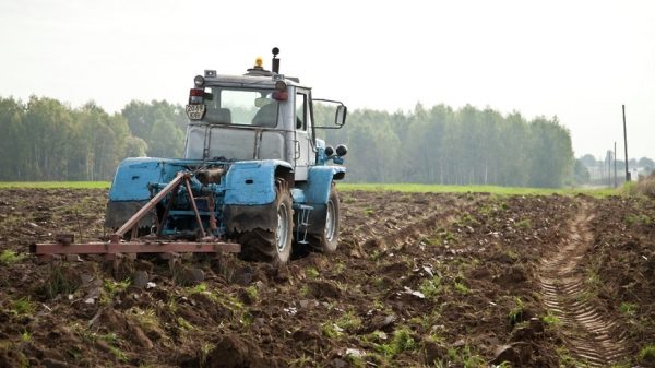 Порядка 1 млрд рублей выделили подмосковным аграриям на весеннюю посевную кампанию
