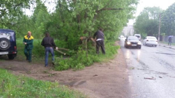 Поваленные деревья убрали возле двух домов в Климовске