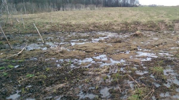 Минэкологии предписало АО «Русское молоко» очистить зону ручья от навоза в Рузском округе