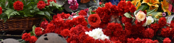 В День Победы сотни красных гвоздик украсили памятники в Химках
 