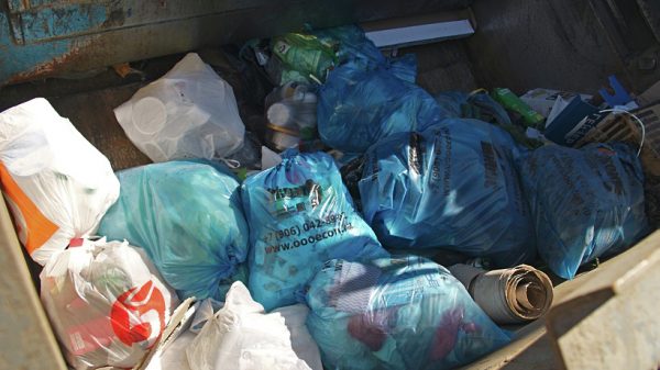 Полсотни пакетов с мусором собрали в рамках субботника на берегу Клязьмы в Королеве