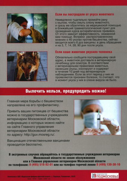 Утверждён план проведения месячника по профилактике бешенства на территории Московской области в 2017 году