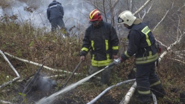 Пятнадцать лесных пожаров произошло в области за минувшие сутки