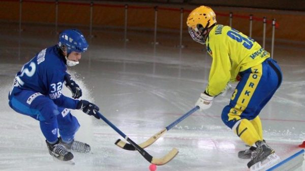 Хоккейную академию откроют на базе СК «Легенда» в Домодедове