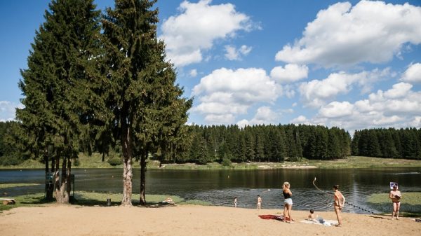 Пруд в парке Серпухова стал комфортным местом отдыха у воды