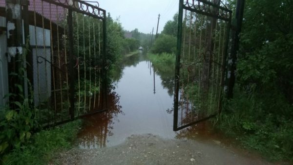 Два садовых товарищества в Рузе затопило из-за обильных осадков