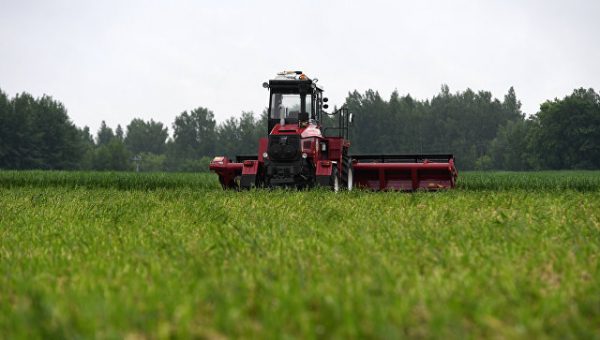 В Подмосковье решают вопрос о компенсации фермерам стоимости агротехники
