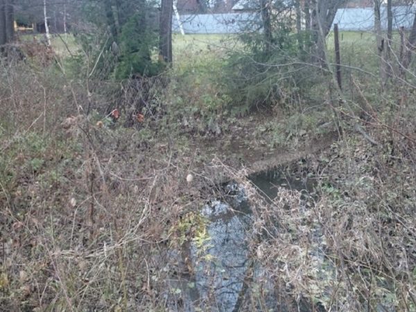 По заказу минэкологии будут расчищены река и русловый пруд в Наро-Фоминском районе