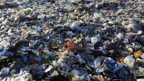 Незаконную свалку мусора ликвидировали в деревне Ногинского района