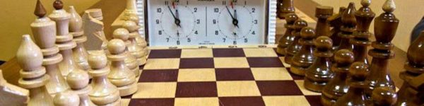 Химкинский шахматный клуб Prof. Chess Club пополнился юными талантами
 