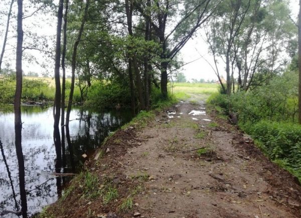Минэкологии выясняет собственника незаконной плотины на реке в Раменском районе