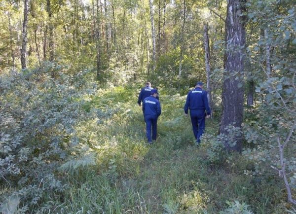 С начала 2017 года спасатели Московской области вывели из леса  153 заблудившихся