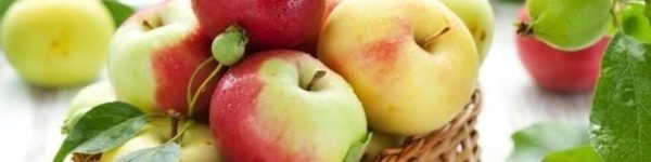 Тематическая ярмарка «Яблочный спас» пройдет в Химках
 