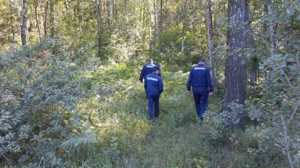 Свыше 200 человек потерялись в подмосковных лесах с начала года