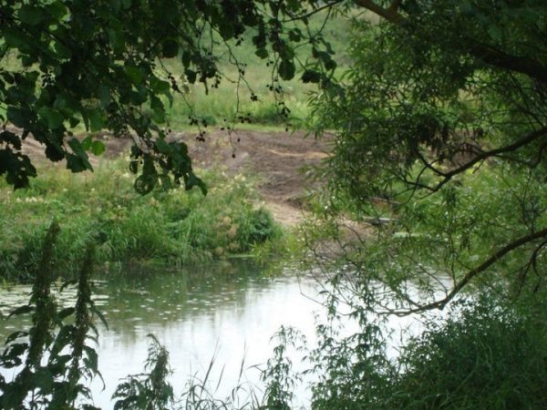 Минэкологии: в Серпуховском районе и Коломне установлены нарушения водоохранного законодательства   