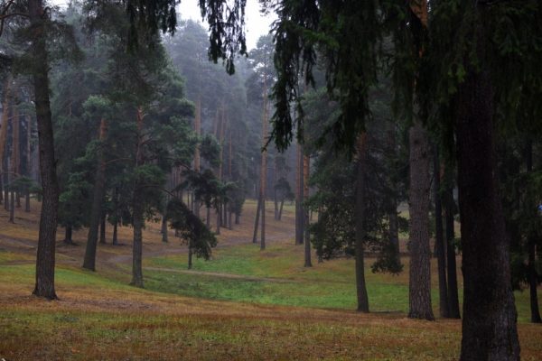 Территорию Пестовского парка расширят в ходе реконструкции в 2018 году в Балашихе