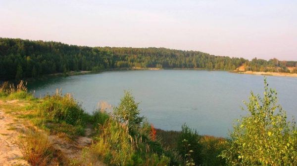 Власти Луховиц проведут субботник по очистке прибрежной зоны озера 2 сентября 