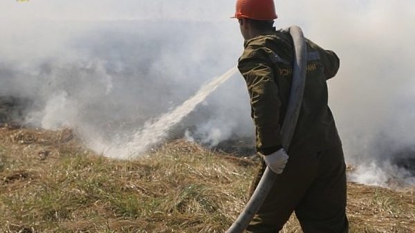 Возгорание торфяников локализовали в Шатуре