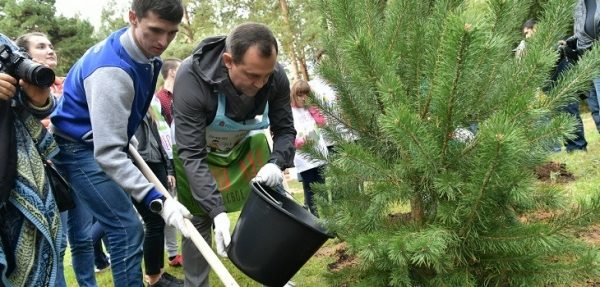 Депутаты Мособлдумы приняли участие в акции «Наш лес. Посади своё дерево» в своих избирательных округах