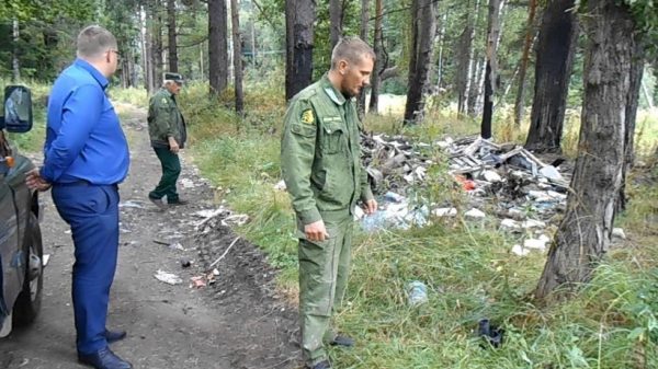 Четыре нарушения выявили в лесах Подмосковья в ходе антимусорного рейда во вторник
