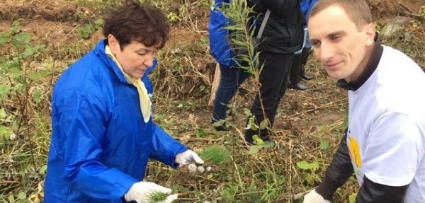 Депутаты Мособлдумы приняли участие в акции «Наш лес. Посади своё дерево» в своих избирательных округах