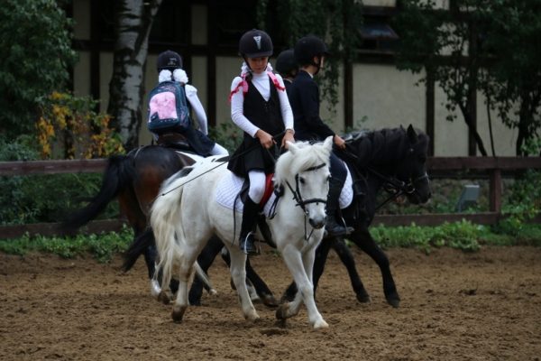 Фестиваль по конному спорту для детей-инвалидов состоится в Котельниках 7 октября