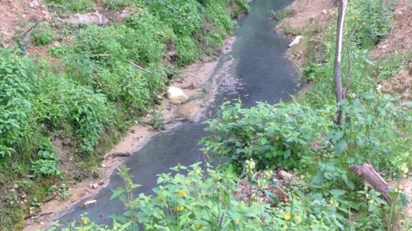 Областное Минэкологии оштрафовало виновника загрязнения реки Баньки в Красногорске