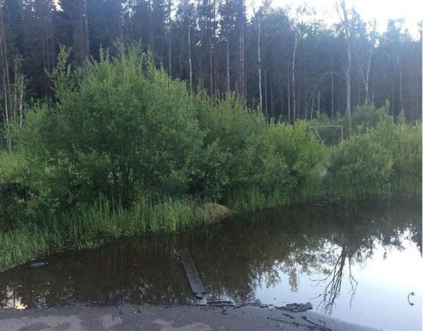 По требованию минэкологии в Дмитровском районе устранили причины затопления лесного массива   
