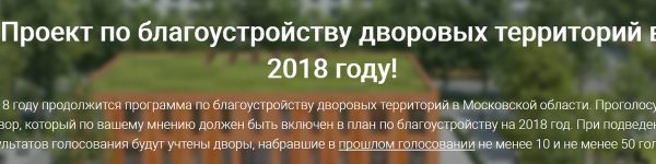 В Подмосковье подвели итоги голосования за благоустройство в 2018 году
 