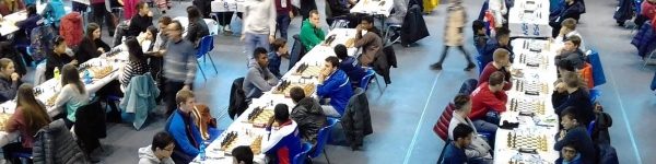Шахматисты из Химок продолжают успешно выступать на чемпионате мира
 