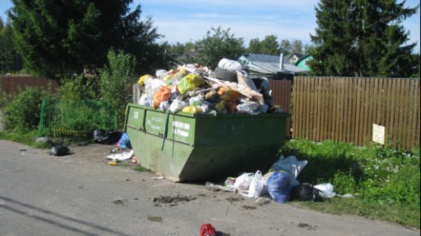 Вывоза мусора в Химках. Как отличить бытовой от строительного