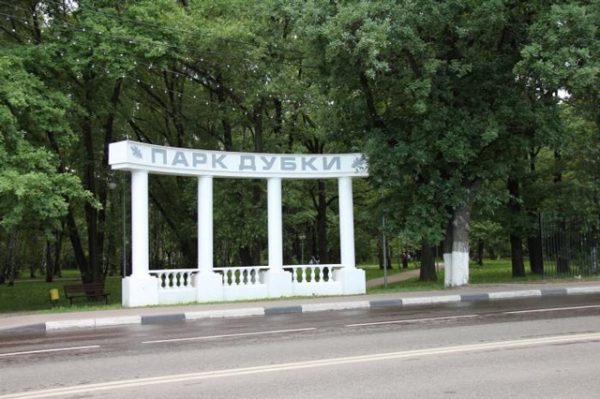Алексей Дмитриев: Парк «Дубки» в Химках вопреки воле граждан могут застроить">  