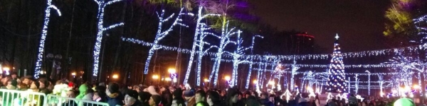 Порядка 10 тысяч человек встретили Новый год в парке Химок
 