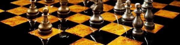 Юный шахматист из Химок переиграл гроссмейстера из Индии 
 