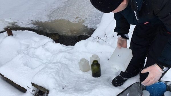 Рыба в прудах комбината в Егорьевске погибла из-за сброса неочищенных стоков