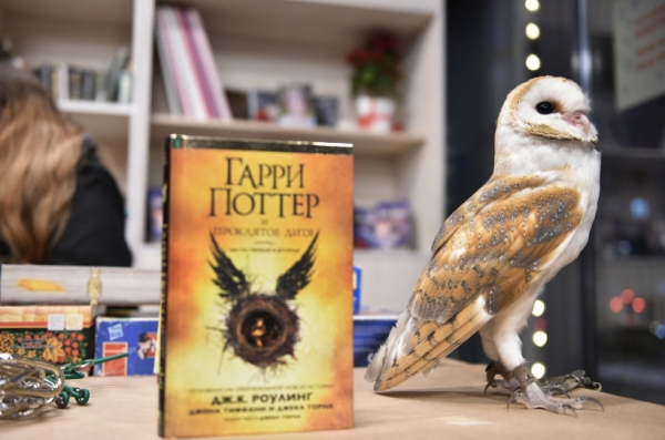 «Всемирная ночь Гарри Поттера» состоится в библиотеках Подмосковья 1 февраля