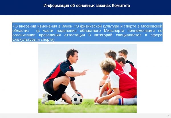 Отчёты комитетов Мособлдумы 2017: по делам молодёжи и спорта