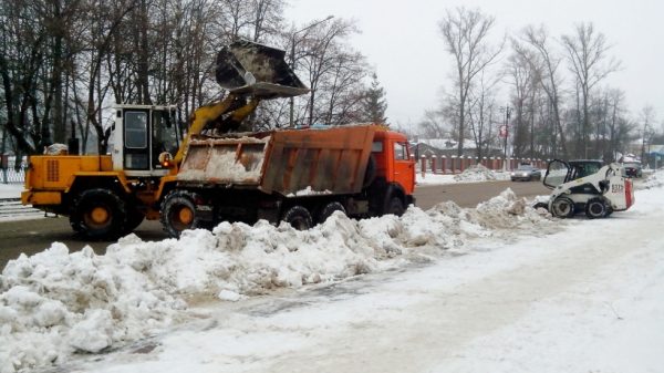 На 18 снегосвалках в Подмосковье нашли нарушения в первый месяц зимы – Витушева