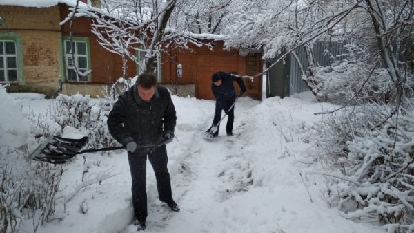 В 18 муниципалитетах Подмосковья волонтеры расчистили снег во дворах пенсионеров