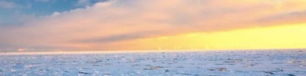 Школьники из Подмосковья открыли новый остров в Арктике
 
