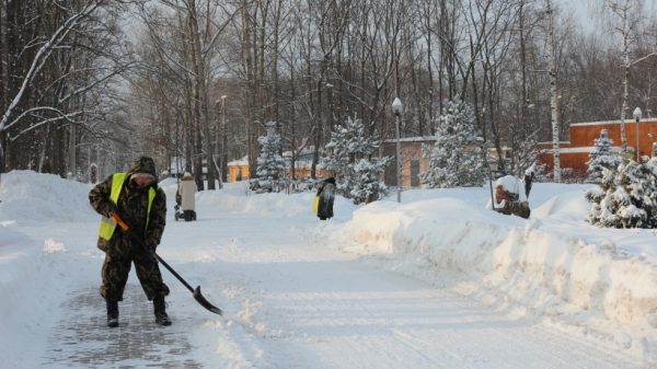 Областной Комлесхоз присоединился к борьбе с последствиями сильного снегопада