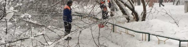 Более 100 единиц техники вышли на уборку снега в Химках 
 