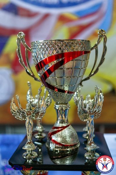 Химкинские черлидеры выступят на Чемпионате и Первенстве ЦФО