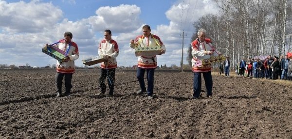  В 2018 году посевная площадь земель в Московской области превысит 580 тысяч гектаров