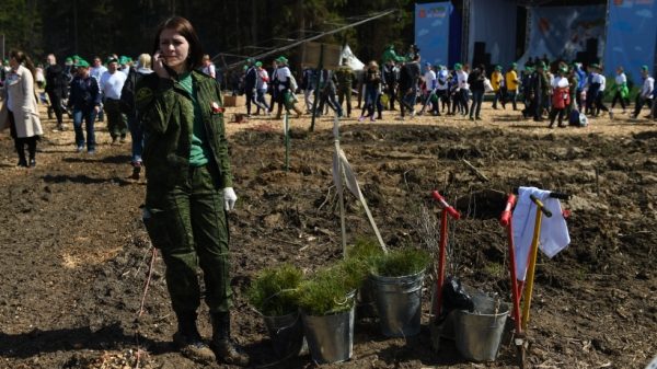 Деревья на территории школ Котельников в ходе акции «Лес Победы» высаживают 250 школьников